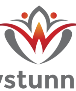 WSTunnel (CLI)