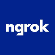 Ngrok (CLI)